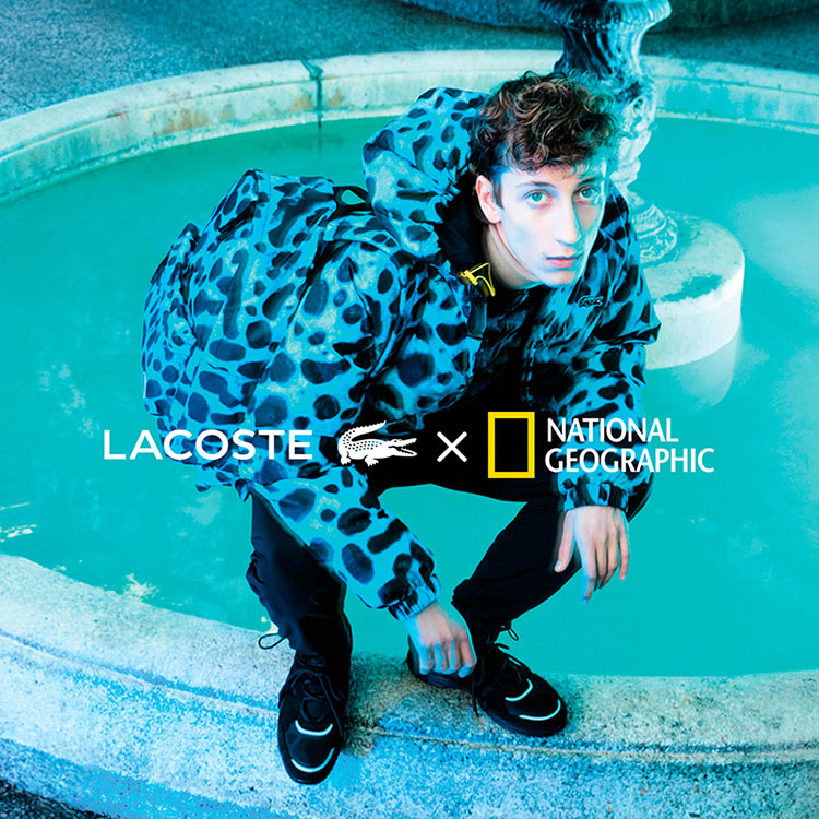 Fashion News, Lacoste X National Geographic, Lacoste, คอลเลคชั่นใหม่, ออกใหม่, เสื้อยืด, เสื้อโปโล, เสื้อลาย, Animal Print, คอลเลคชั่นพิเศษ, Limited Edition, เสื้อผ้าใยรีไซเคิล