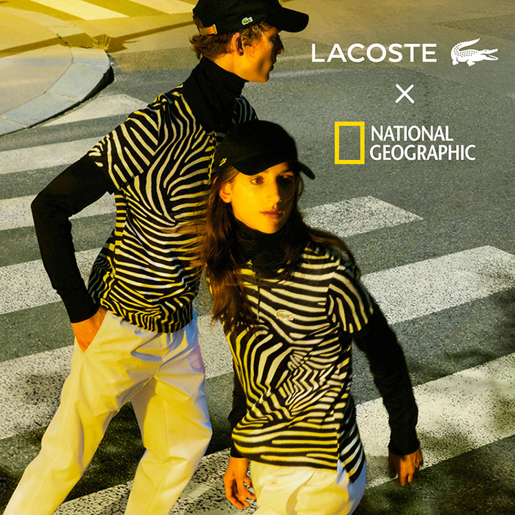 Fashion News, Lacoste X National Geographic, Lacoste, คอลเลคชั่นใหม่, ออกใหม่, เสื้อยืด, เสื้อโปโล, เสื้อลาย, Animal Print, คอลเลคชั่นพิเศษ, Limited Edition, เสื้อผ้าใยรีไซเคิล