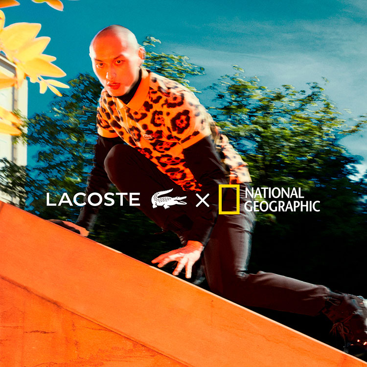 Fashion News, Lacoste X National Geographic, Lacoste, คอลเลคชั่นใหม่, ออกใหม่, เสื้อยืด, เสื้อโปโล, เสื้อลาย, Animal Print, คอลเลคชั่นพิเศษ, Limited Edition, เสื้อผ้าใยรีไซเคิล