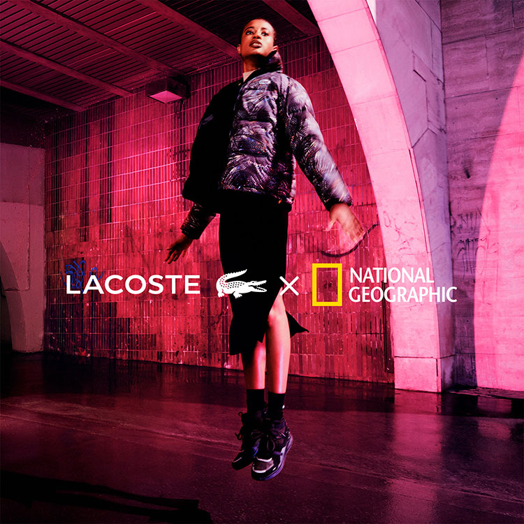 Fashion News, Lacoste X National Geographic, Lacoste, คอลเลคชั่นใหม่, ออกใหม่, เสื้อยืด, เสื้อโปโล, เสื้อลาย, Animal Print, คอลเลคชั่นพิเศษ, Limited Edition, เสื้อผ้าใยรีไซเคิล