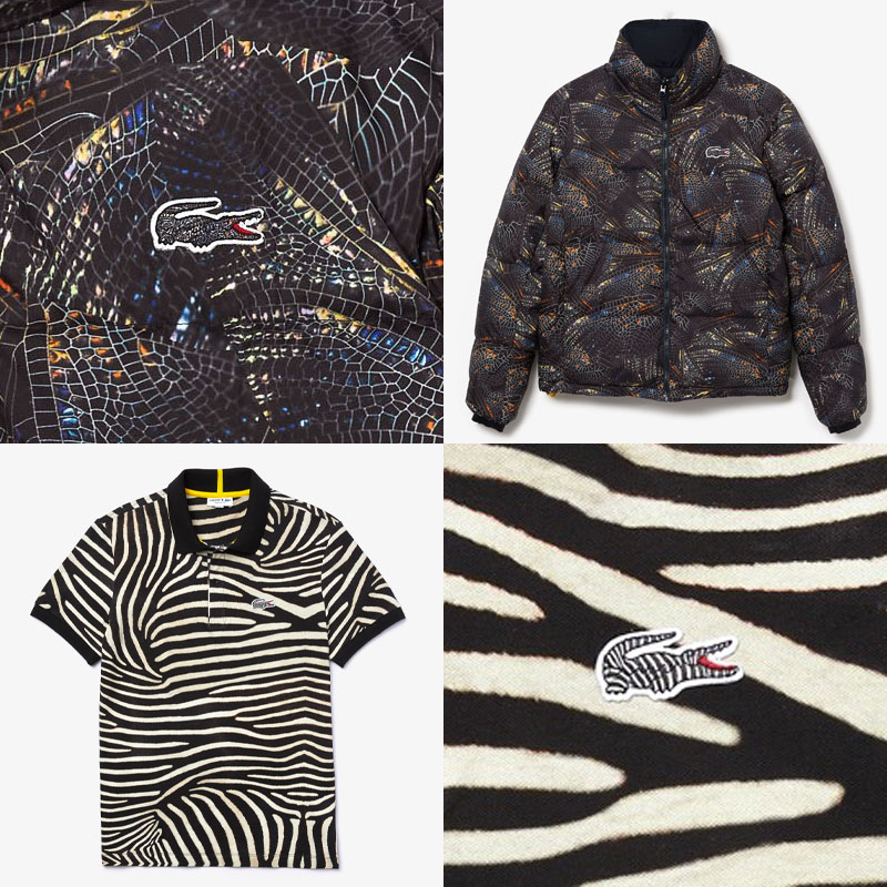 Fashion News, Lacoste X National Geographic, Lacoste, คอลเลคชั่นใหม่, ออกใหม่, เสื้อยืด, เสื้อโปโล, เสื้อลาย, Animal Print, คอลเลคชั่นพิเศษ, Limited Edition, เสื้อผ้าใยรีไซเคิล